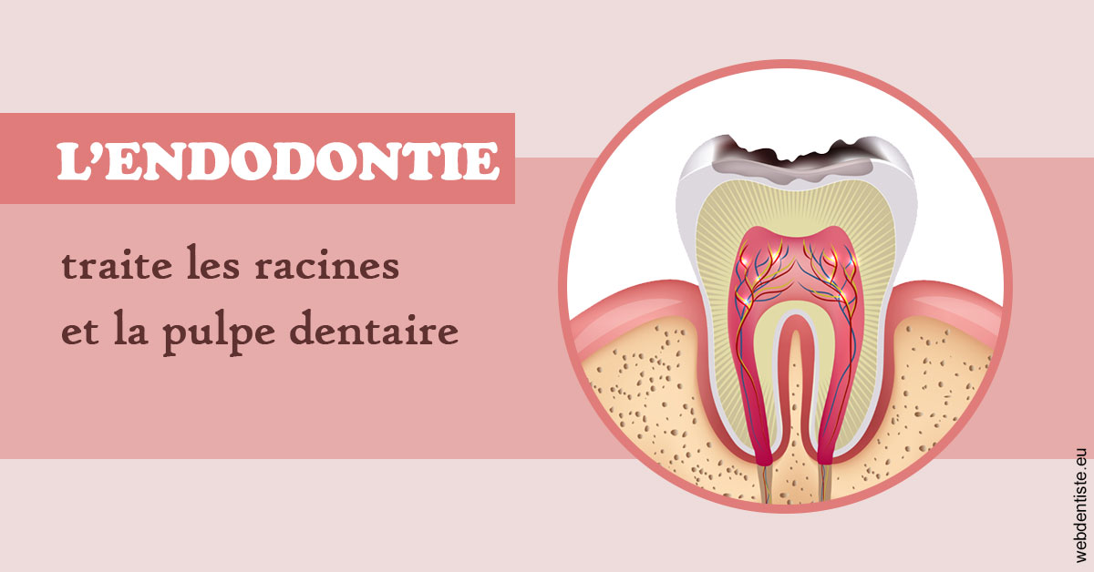 https://dr-nigoghossian-cecile.chirurgiens-dentistes.fr/L'endodontie 2