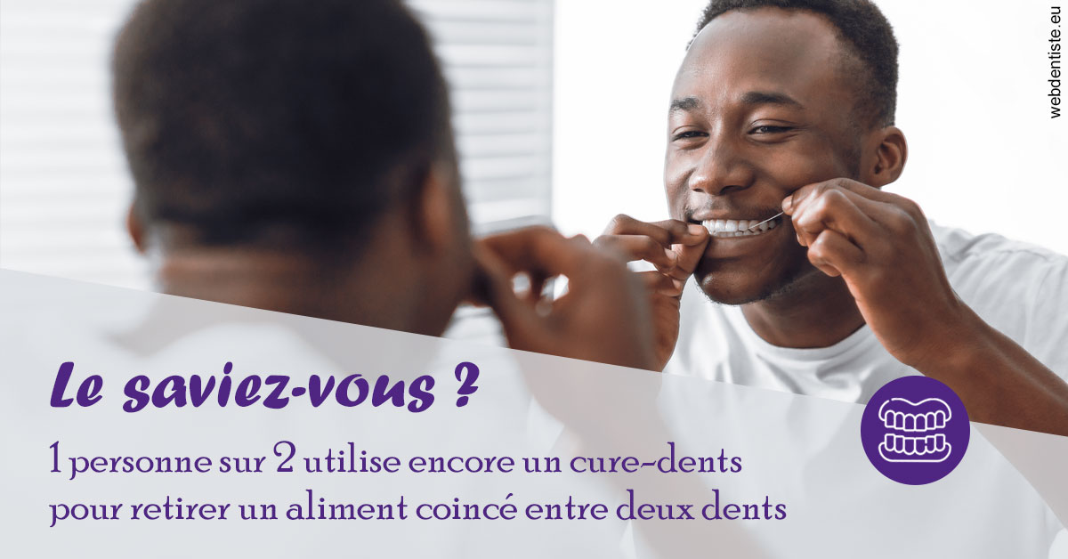 https://dr-nigoghossian-cecile.chirurgiens-dentistes.fr/Cure-dents 2