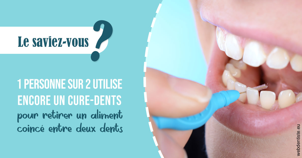 https://dr-nigoghossian-cecile.chirurgiens-dentistes.fr/Cure-dents 1